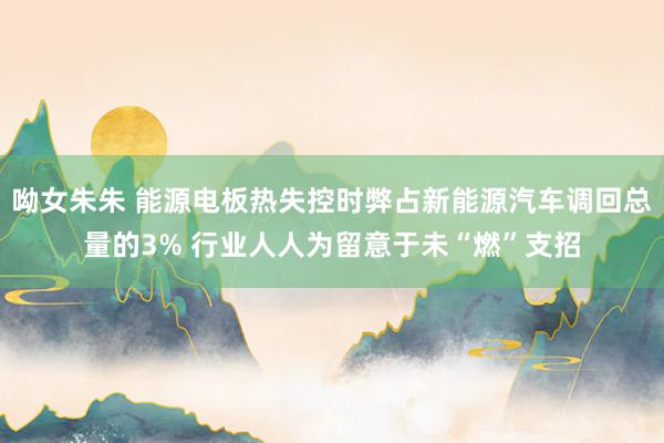 呦女朱朱 能源电板热失控时弊占新能源汽车调回总量的3% 行业人人为留意于未“燃”支招