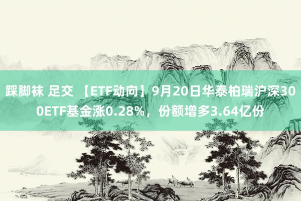 踩脚袜 足交 【ETF动向】9月20日华泰柏瑞沪深300ETF基金涨0.28%，份额增多3.64亿份