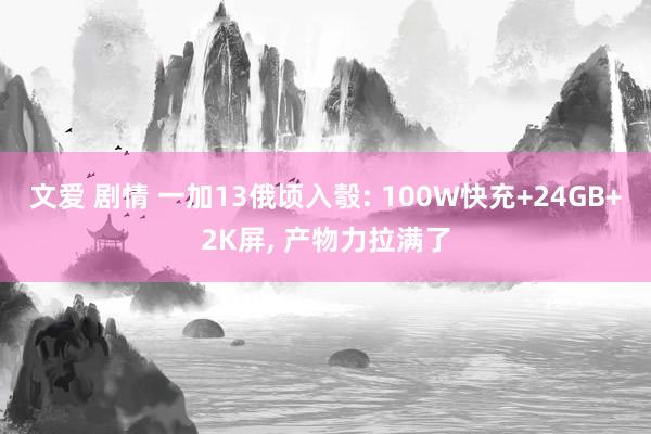 文爱 剧情 一加13俄顷入彀: 100W快充+24GB+2K屏， 产物力拉满了