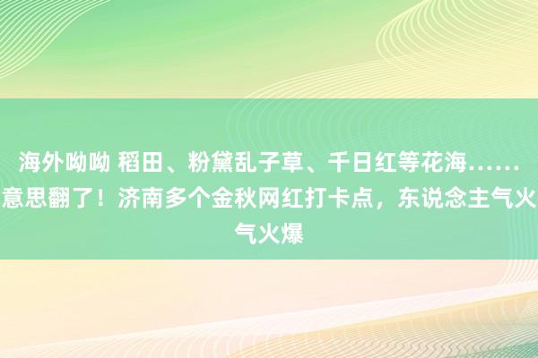 海外呦呦 稻田、粉黛乱子草、千日红等花海……好意思翻了！济南多个金秋网红打卡点，东说念主气火爆