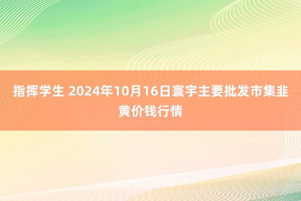 指挥学生 2024年10月16日寰宇主要批发市集韭黄价钱行情