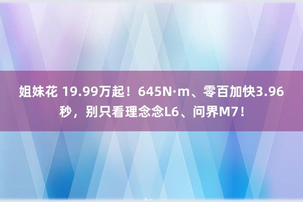 姐妹花 19.99万起！645N·m、零百加快3.96秒，别只看理念念L6、问界M7！