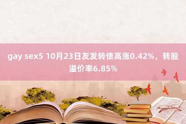 gay sex5 10月23日友发转债高涨0.42%，转股溢价率6.85%