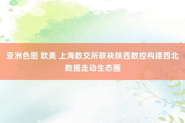 亚洲色图 欧美 上海数交所联袂陕西数控构建西北数据走动生态圈