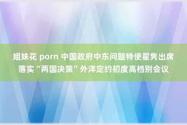 姐妹花 porn 中国政府中东问题特使翟隽出席落实“两国决策”外洋定约初度高档别会议