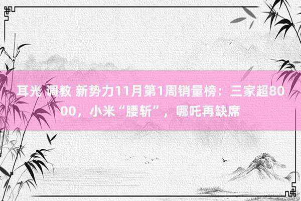 耳光 调教 新势力11月第1周销量榜：三家超8000，小米“腰斩”，哪吒再缺席