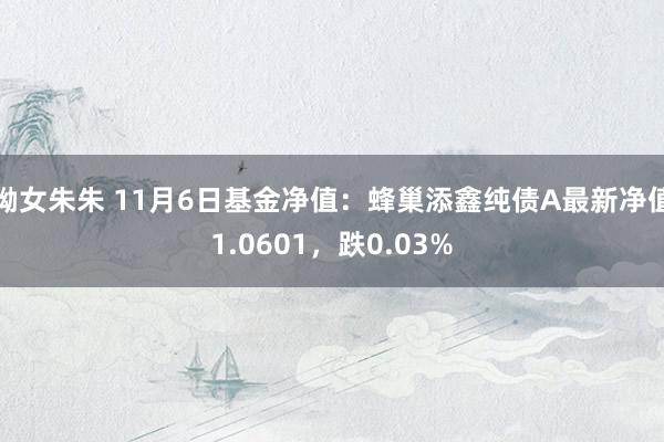 呦女朱朱 11月6日基金净值：蜂巢添鑫纯债A最新净值1.0601，跌0.03%