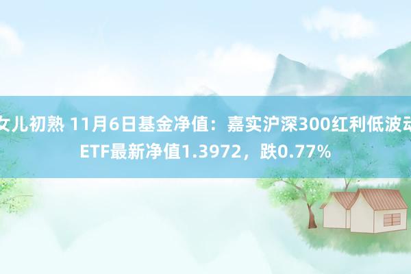 女儿初熟 11月6日基金净值：嘉实沪深300红利低波动ETF最新净值1.3972，跌0.77%